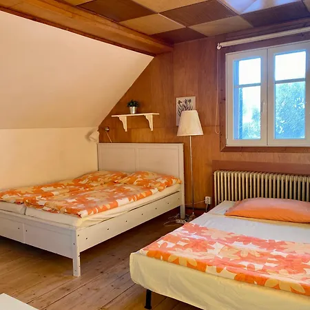 Turisticka Plane Maison d'hôtes Cesky Dub